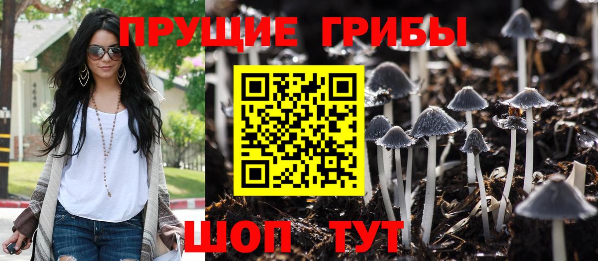 закладка  Галлюциногенные грибы Cubensis  Вход с VPN  Артём  Псилоцибиновые грибы прущие грибы 